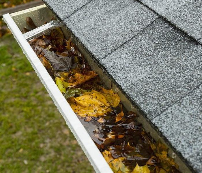 Rain running off roof shingles into gutter clogged with autumn leaves on a residential home