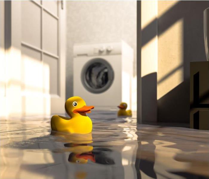 A flooded basement with yellow rubber ducks floating around in the water